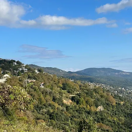 Villa Anasemia Pelion